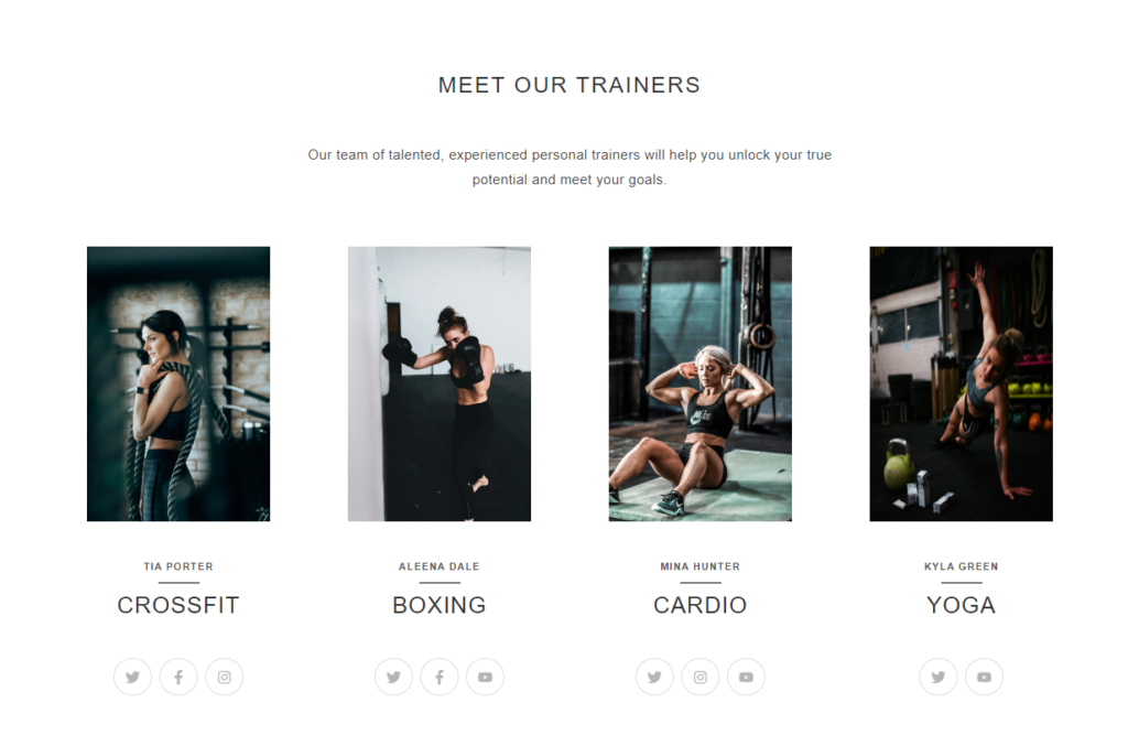 Screenshot from Aether's Gym homepage showing the Meet Our Trainers section.